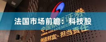 法国市场前瞻：科技股
